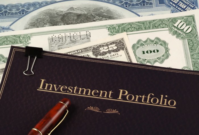 Portfolio diversified investment diversify investments types dollarsandsense into